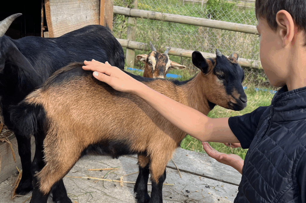 photo_maison_enfants_saintjoseph_10