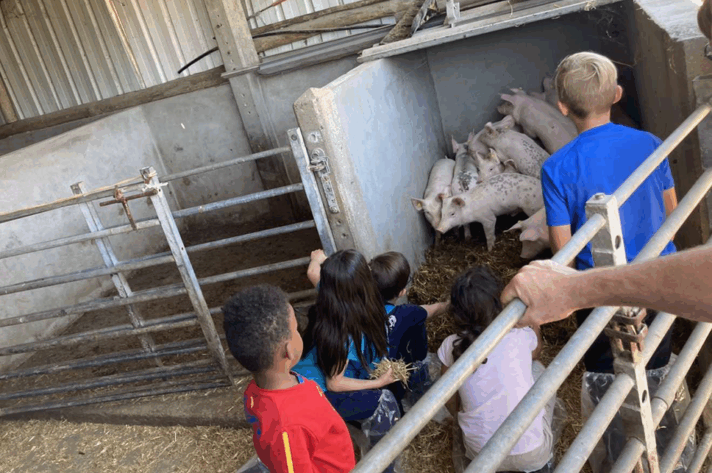 photo_maison_enfants_saintjoseph_4