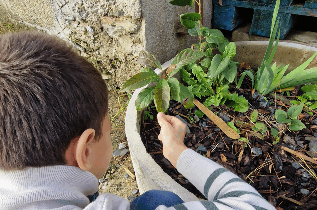 photo_maison_enfants_saintjoseph_8